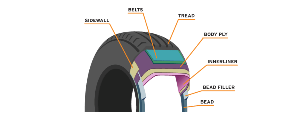section diagram showing the structure of a tire and its parts