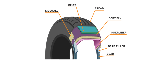 section diagram showing the structure of a tire and its parts