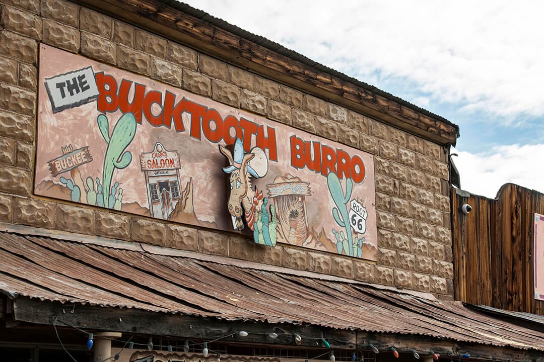 bucktooth burro in oatman az