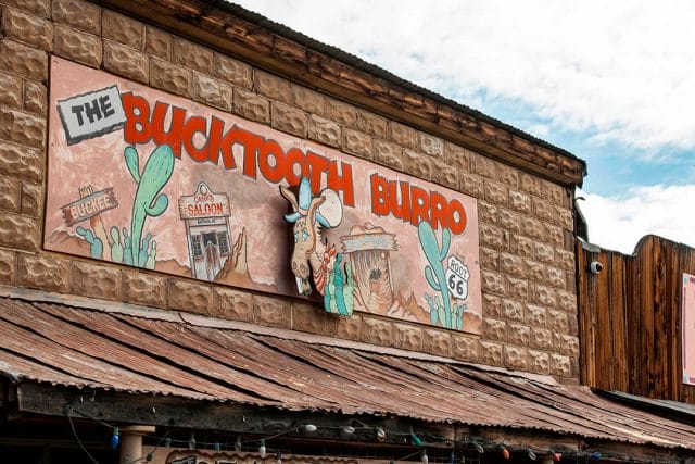 MS_XPDN1_17 bucktooth burro in oatman az