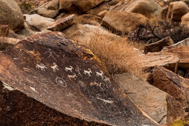 petroglyphs in arizona