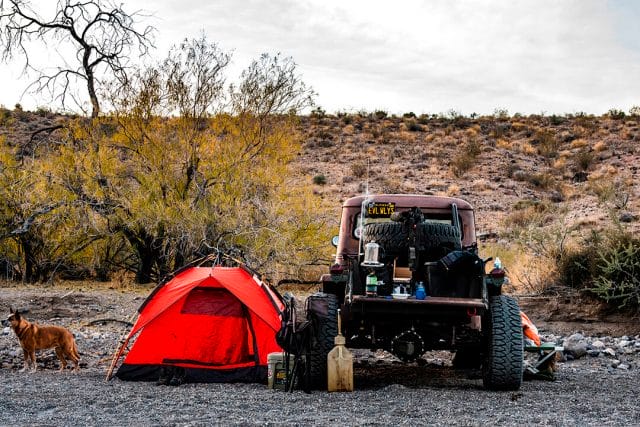 jeep willys set up camp