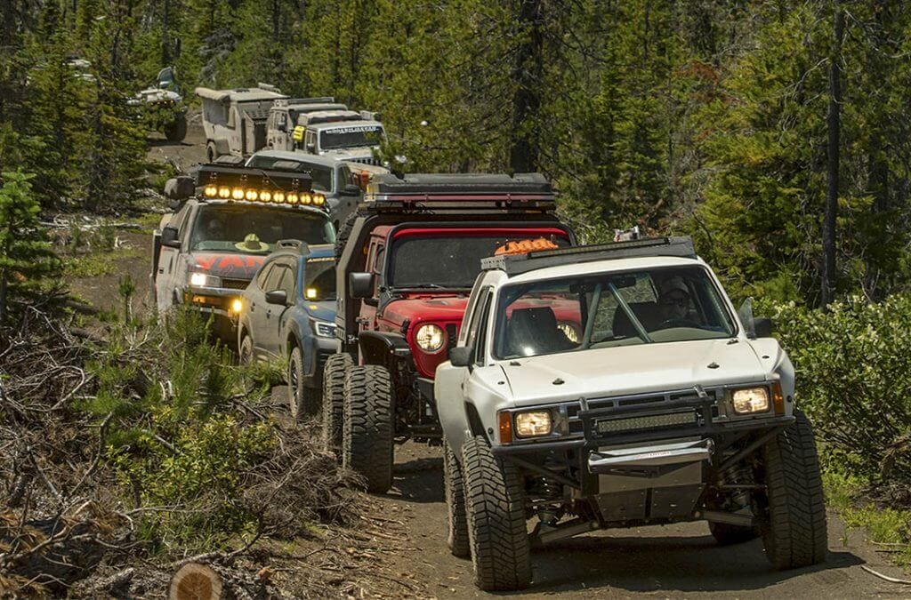 gray toyota, red jeep, blue subaru, and more overlanders head down a forest trail