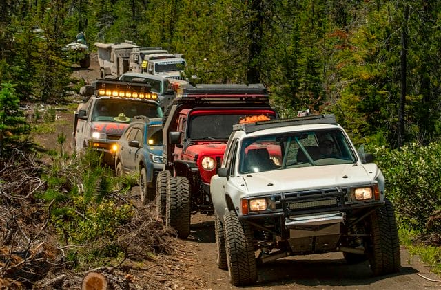 gray toyota, red jeep, blue subaru, and more overlanders head down a forest trail
